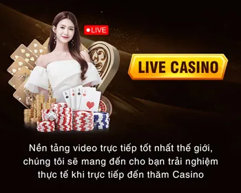 Bắt đầu săn cá